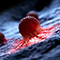 image-d102e7c